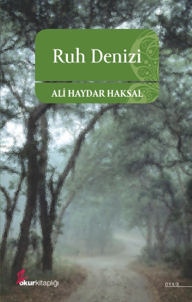 Ruh Denizi  (TÜKENDİ)