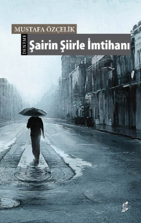 Şairin Şiirle İmtihanı